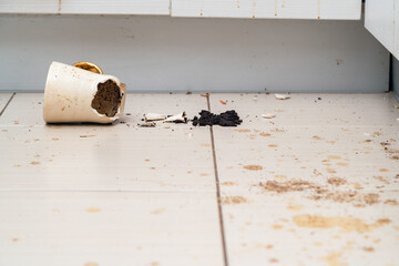 Broken tea cup laying on the kitchen floor, smashed coffee mug and coffee grounds all over the tiles.