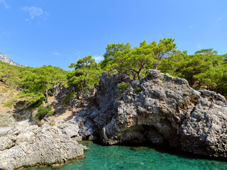 beautiful sea shore