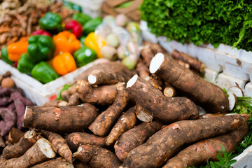 Fresh cassava root on Puebla market - obrazy, fototapety, plakaty