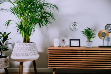 Scandinavian home interior with decorative accessories standing on a wooden cabinet. Minimalist design in interior of room with green plants and white wall with copy space. Biophilia style