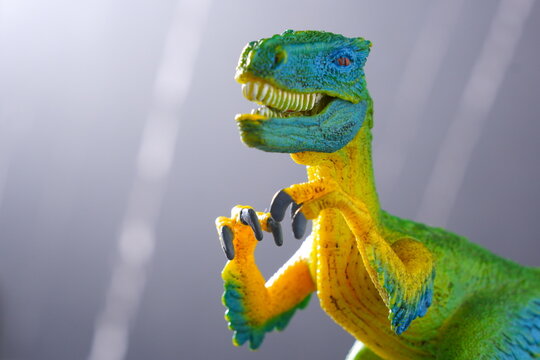 肉食恐竜 Images – Browse 393 Stock Photos, Vectors, and Video