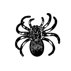 black and white sketch of spider with a transparent background
