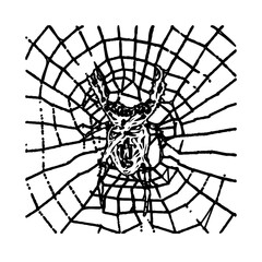 black and white sketch of spider with a transparent background