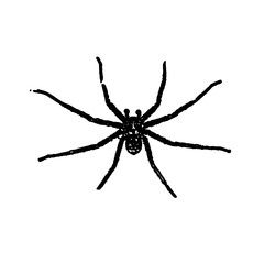 black and white sketch of spider with a transparent background