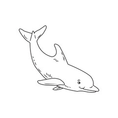 dolphin icon