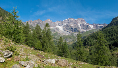 The Punta Gnifetti or Signalkuppe, Parrotspitze, Ludwigshohe, Piramide Vincent peaks - Valsesia...