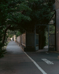 a sidewalk with an open gate above it with green vegetation in a shady place in budapest