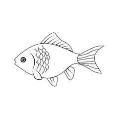 ornamental fish icon