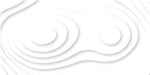 Abstract Luxury paper cut background, Abstract decoration, white pattern lines gradients, 3d Vector illustration, topographic canyon map light relief texture, curved layers.