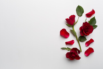 Composition with red roses on color background, top view