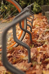 bench in the park