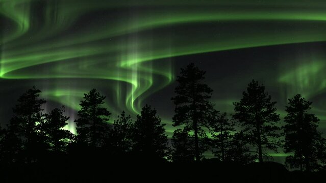 Swirling Green Aurora Borealis Over Silhouetted Trees. Static Shot
