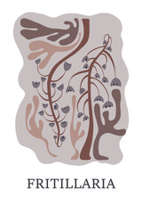 Fritillaria botanical illustration. Vector. Modern poster. 