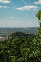 View of Budafok, background landscape in front of a forest with trees and bushes under a blue sky on a sunny day
