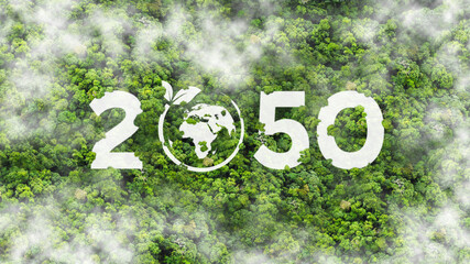 Net zero by 2050. Carbon neutral on Top view of nature. Net zero greenhouse gas emissions target. Climate neutral long term strategy. concept for Sustainable environment development goals - obrazy, fototapety, plakaty