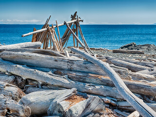Driftwood Structure On South Beach