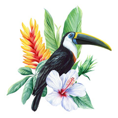 Toucan on a flowers, leaves. watercolor plants on isolated white background, botanical illustration, jungle design
