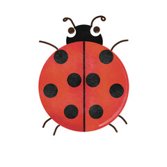 Ladybug cartoon cute