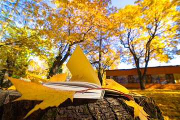 Book among fallen yellow autumn leaves under the bright rays of the sun