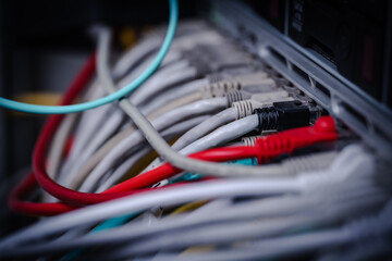 Netzwerkkabel IT Schrank Steckfeld