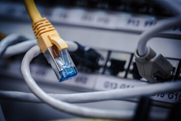 Netzwerkkabel IT Schrank Steckfeld