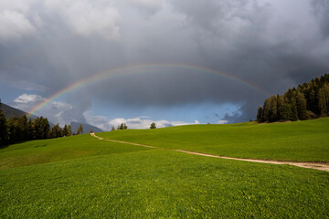 rainbow over field