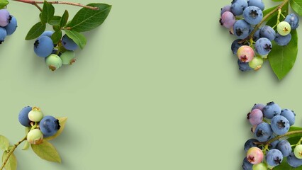 Blueberry Fresh  © Design