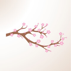 Cherry Blossom Background Sakura Flowers Pink On Branch Flat Vector Illustration