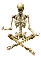 3D Rendering Human Skeleton on White