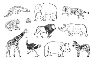 African animals vector line illustrations set.