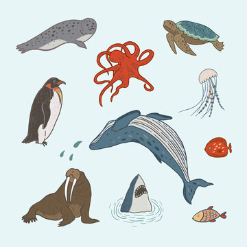 Animals: sea turtle, penguin, octopus, walrus, whale vector illustrations set.