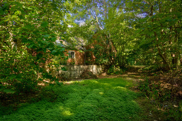 House in forrest