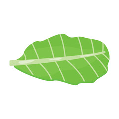 Green leaf icon in cartoon style isolated on white background. Plants symbol stock vector illustration.