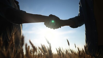 handshake farmer wheat. business partnership agriculture concept. silhouette two farmers shaking...