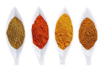 Cutout of isolated various Asian spices including cinnamon powder, fennel powder, turmeric powder...