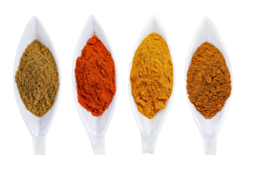 Cutout of isolated various Asian spices including cinnamon powder, fennel powder, turmeric powder and pepper powder with the transparent png