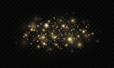 Luminous magic dust particles. Christmas concept. The dust sparks and golden stars shine with special light on a black transparent background.