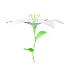 3D lily Flower