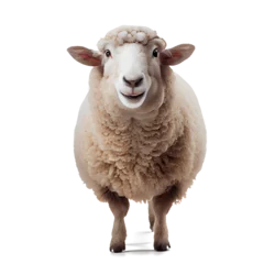 Fototapeten Cute sheep on transparent background. AI generative. © I LOVE PNG