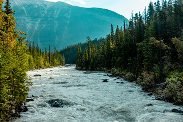 Kicking Horse River Yoho National Park British Columbia Canada