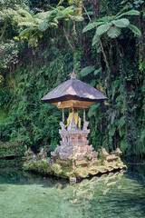 Temple of Bali