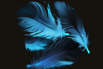 Fototapeta premium Feathery: Blue and Black Jay feathers as a Background or Texture