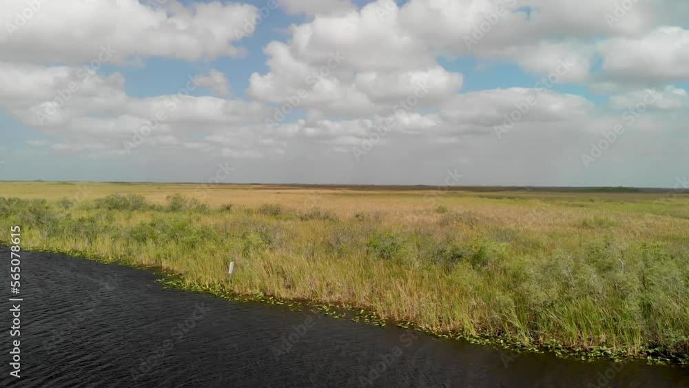 Wall mural aerial view of everglades national park with river, florida