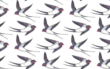 Swallows seamless pattern. Vector flying bird swallows isolated on white background. Spring background with swallows in the sky, ornament for wallpaper and fabric, wrapping paper