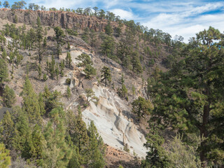 View of small rock city Paisaje Lunar, eroded rock pillars formation in Volcanic landscape with lush green pine tree forest. Tenerife Canary islands, Spain