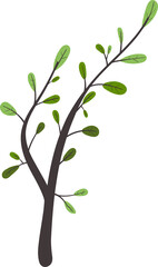 tree branch