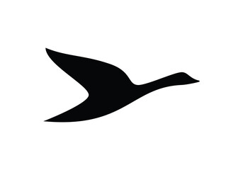 this is bird logo design