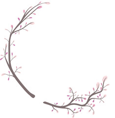 circle branch sakura