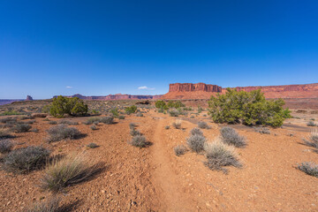 hiking the murphy trail loop in the island in the sky in canyonlands national park, usa
