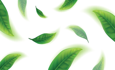 Realistic green tea leaves background for advertising poster. Vector illustration
